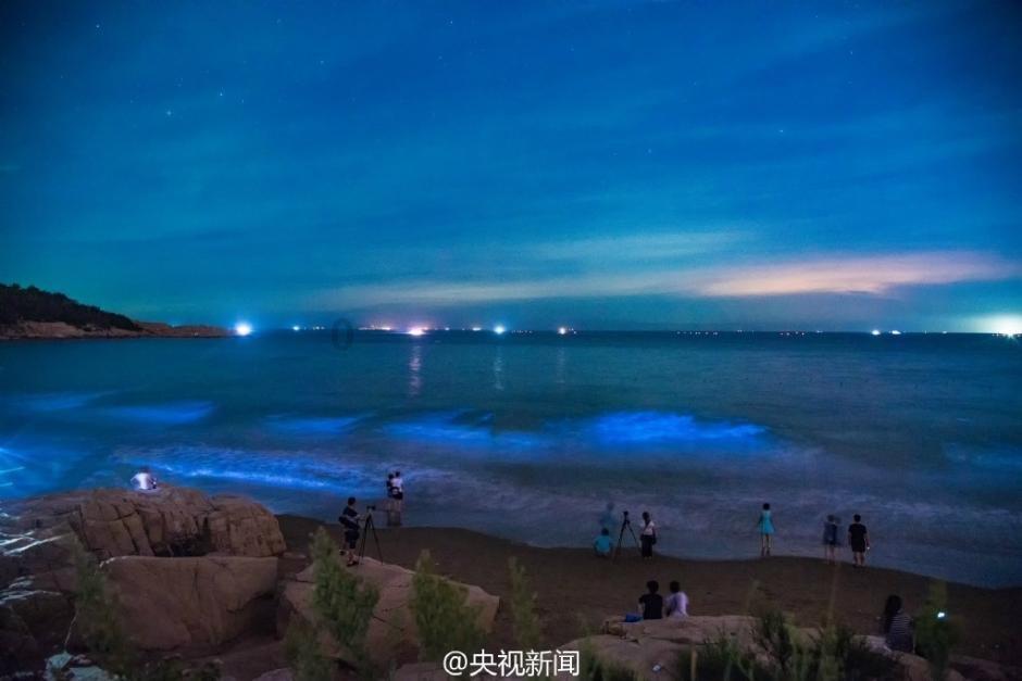 你能逃离此地吗