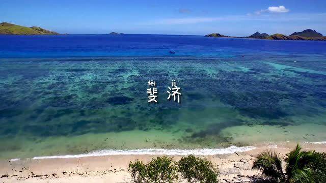 白莲花守则